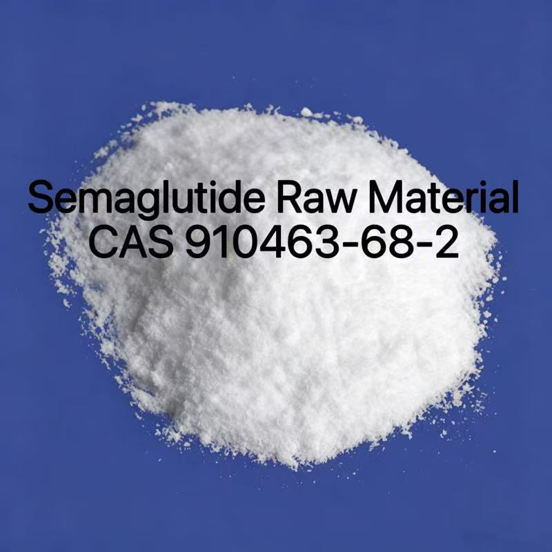 Semaglutide Raw Material CAS 910463-68-2 Semaglutide Raw Material CAS 910463-68-2